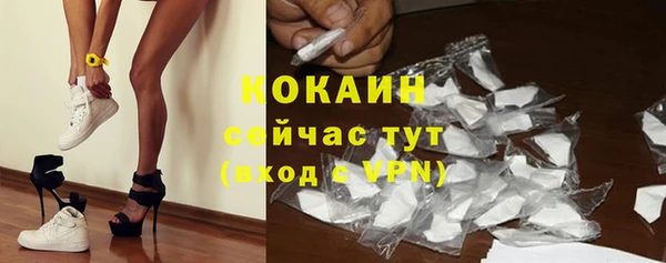 эйфоретик Пересвет