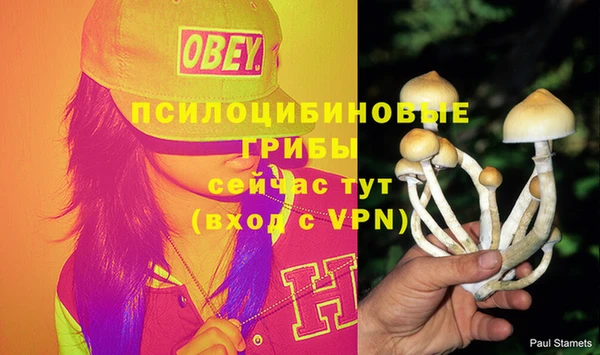 эйфоретик Пересвет